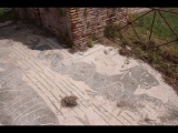 07730 ostia - regio iv - insula ii - terme del faro (iv,ii,1) - raum (3a) - apodyterium - mosaik - suedostecke - meeresungehuer - 06-2024.jpg